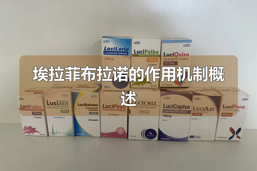 埃拉菲布拉诺的作用机制概述